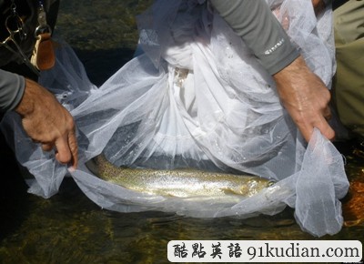 蹂躪前妻婚紗的10種最好的方式