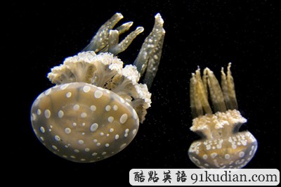 三十張令人驚嘆的對稱攝影圖片(下)