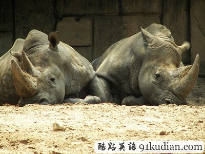 三十張令人驚嘆的對稱攝影圖片(下)