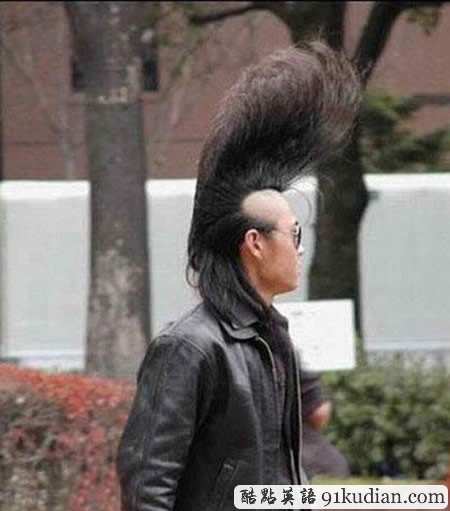 大千世界:全世界搞笑有趣的發(fā)型