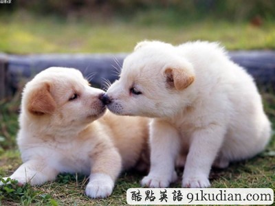 大千世界:你不知道的另類的擇偶觀