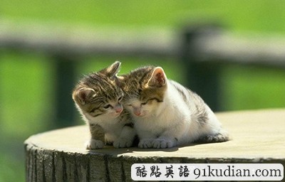 狗血劇情真實上演:未婚夫妻竟是兄妹