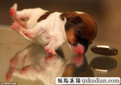 大千世界:愿你在我的掌中安眠