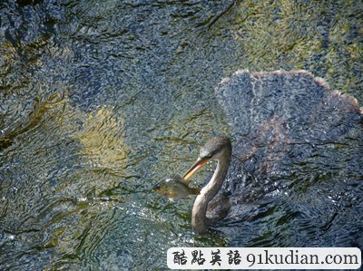 環(huán)球之旅:2012走遍全世界(3)