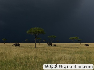 環(huán)球之旅:2012走遍全世界(3)