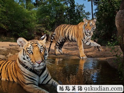 環(huán)球之旅:2012走遍全世界(3)