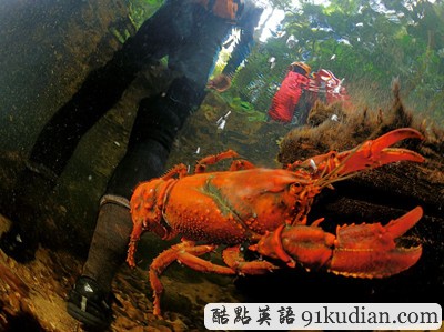 環(huán)球之旅:2012走遍全世界(3)