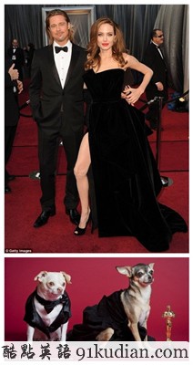 奧斯卡紅毯模仿秀 寵物狗狗爭奇斗艷