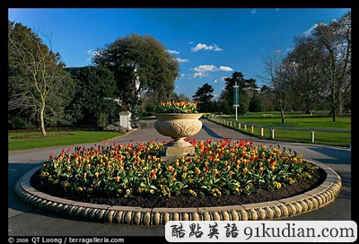 亂花漸欲迷人眼:盤點全球五大鮮花勝地