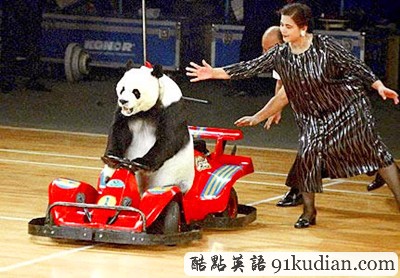 趣圖妙語(yǔ):動(dòng)物版本看圖說(shuō)話(下)