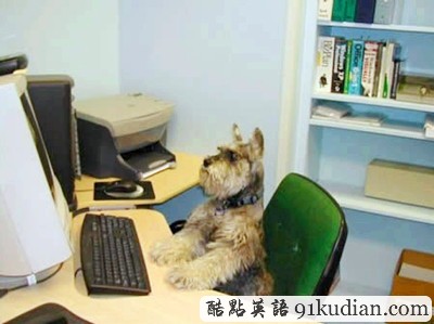 趣圖妙語:動物版本看圖說話(下)