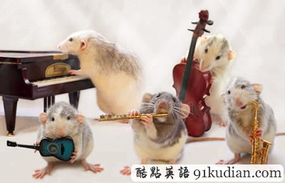 趣圖妙語:動物版本看圖說話(下)