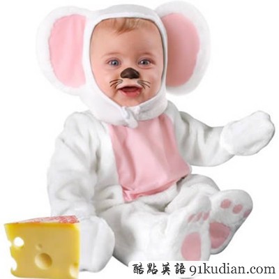 地球人已經(jīng)無法阻止他們賣萌了!