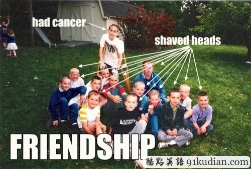 趣圖妙語(yǔ):動(dòng)物用行動(dòng)告訴人類友誼的真正含義