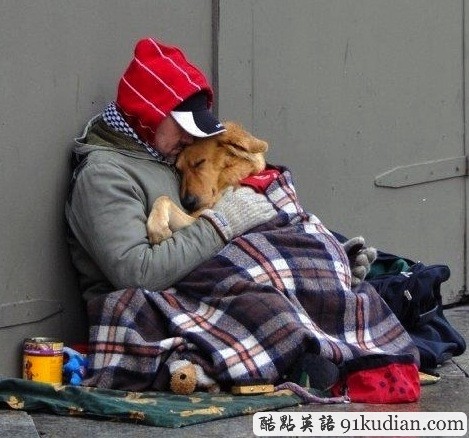 趣圖妙語(yǔ):動(dòng)物用行動(dòng)告訴人類友誼的真正含義