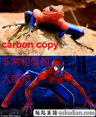 看圖學英文:動物世界的那些事兒