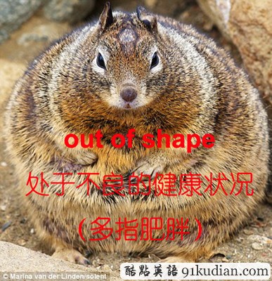 看圖學(xué)英文:動物世界的那些事兒