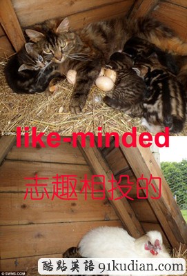 看圖學英文:動物世界的那些事兒