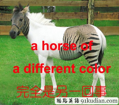 看圖學(xué)英文:動(dòng)物世界的那些事兒