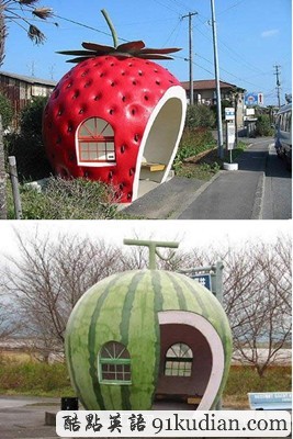 大千世界:世界最酷公交車站