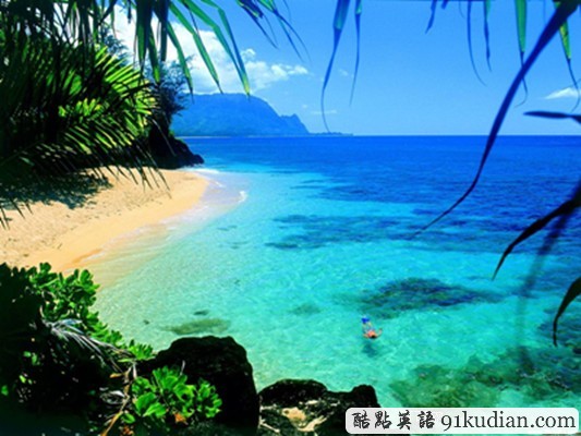 環(huán)球之旅:帶你走進(jìn)夢(mèng)幻般的Hawaii夏威夷群島