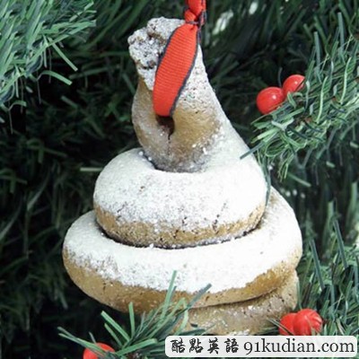 趣圖妙語:奇妙的圣誕裝飾