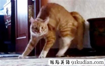 大千世界:2011年奇聞異事回顧