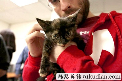 萌物語:貓咪TV show現(xiàn)場實(shí)錄