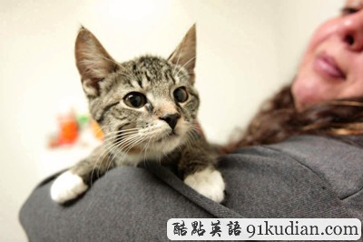 萌物語:貓咪TV show現(xiàn)場實錄