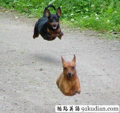 趣圖妙語:我們也懂得何為喜感~