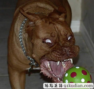 趣圖妙語(yǔ):我們也懂得何為喜感~