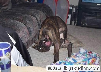 趣圖妙語(yǔ):我們也懂得何為喜感~