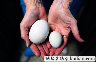 雞蛋中的俄羅斯套娃:德州冒出