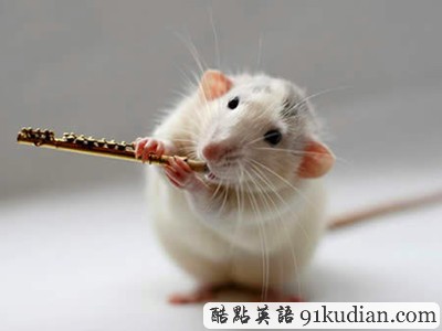 趣圖妙語(yǔ):動(dòng)物版本看圖說(shuō)話(上)