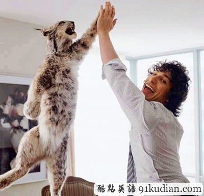 趣圖妙語:動(dòng)物版本看圖說話(上)