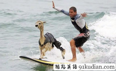 趣圖妙語:動物版本看圖說話(上)