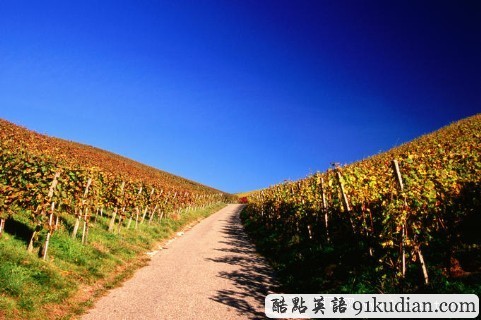 環(huán)球之旅:走進萊茵河畔的美麗GJ"德國"