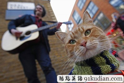 趣圖妙語:街頭藝貓Bob 和主人在一起