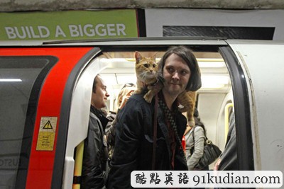 趣圖妙語:街頭藝貓Bob 和主人在一起