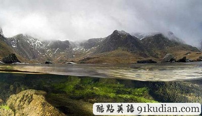 英國(guó)2011年野生動(dòng)物攝影比賽獲獎(jiǎng)?wù)掌? height=