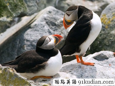 環(huán)球之旅:2012走遍全世界(5)之奇趣大自然