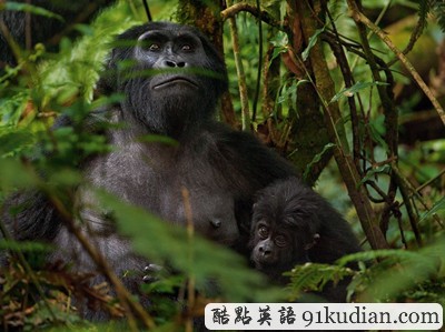 環(huán)球之旅:2012走遍全世界(5)之奇趣大自然