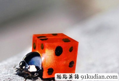 趣圖妙語(yǔ):如果這個(gè)世界是方的