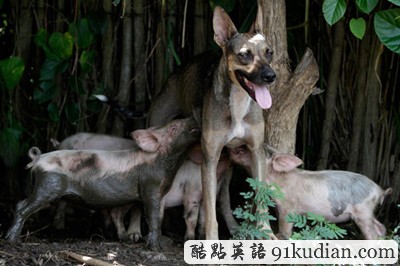 時代雜志評選2011