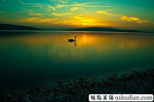 趣味英語起源論第3期:Swan Song最后杰作,絕筆