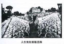 2014年6月英語四級圖表作文模板:人生的選擇 www.m.jiazhineng.cn